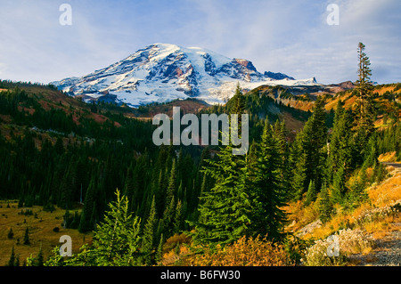 Schneebedeckten Mount Rainier mit Herbstfarben in Paradise Valley, Mount-Rainier-Nationalpark, Washington Stockfoto