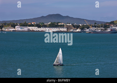 Segelboot im Waitemata Harbour mit Rangitoto Island im Hintergrund, Auckland, Neuseeland Stockfoto