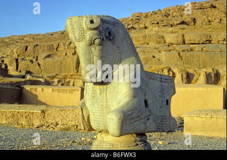 Steinstatue von Bull; Persepolis; Persepolis in der islamischen Republik Iran; wurde als UNESCO-Weltkulturerbe im Weltkulturerbe Stockfoto