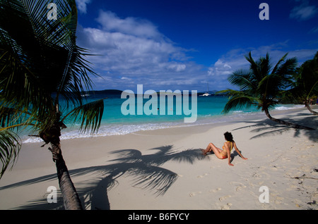 Caribbean Bay St John Salomonen US Virgin Islands Stockfoto