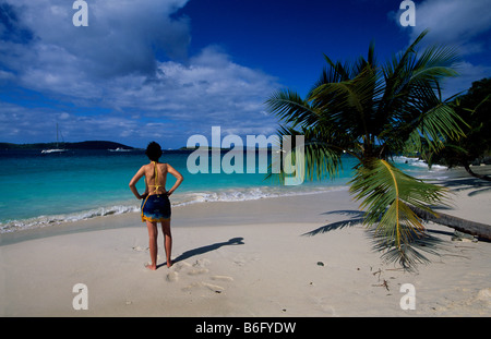 Caribbean Bay St John Salomonen US Virgin Islands Stockfoto