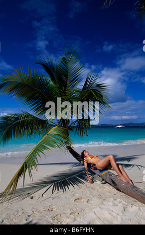 Caribbean Bay St John Salomonen US Virgin Islands Stockfoto