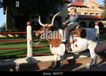 Eine Frau reitet auf einem Texas Longhorn Stier an den Stockyards in Fort Worth Texas Stockfoto