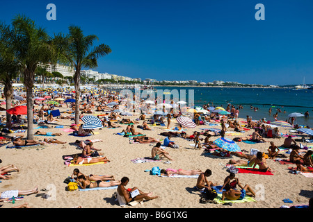 Am Strand von Cannes Cote D Azur Frankreich anzeigen Stockfoto