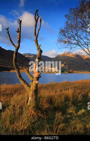 Kilchurn Castle am Ufer des Loch Awe von Historic Scotland verwaltet Stockfoto