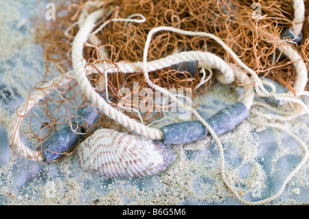 Nahaufnahme von Fischnetz, Seil, Muscheln und Sand. Stockfoto