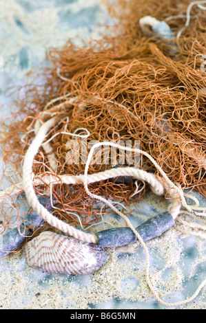 Nahaufnahme von Fischnetz, Seil, Muscheln und Sand. Stockfoto