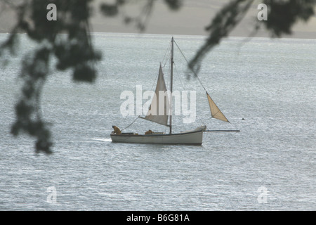 Austernfischer in Falmouth Arbeitsboote Segeln auf der Carrick Straßen Cornwall im Winter Stockfoto