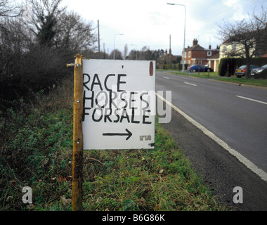 Am Straßenrand Zeichen des wirtschaftlichen Abschwungs? Rennpferde zu verkaufen in zentrale Markt Rasen racing Stadt, England Stockfoto