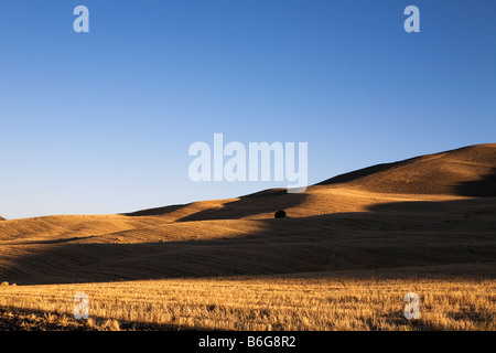 Landschaft der Weizenfelder in spanischen Ebenen Stockfoto