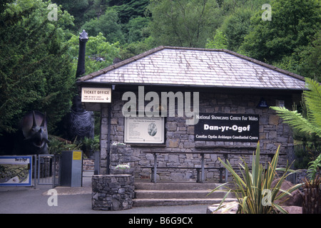 Dan-yr-Ogof Welsh National Schauhöhlen, Wales, UK Stockfoto