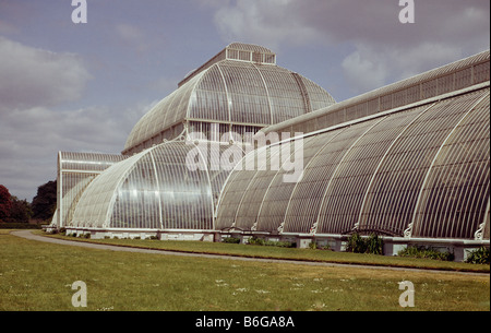 Palm House Kew Stockfoto