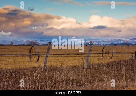 Bewässerung-Rad auf Rinderfarm in die Bitterroot Mountains in der Nähe Stevensville, Montana Stockfoto