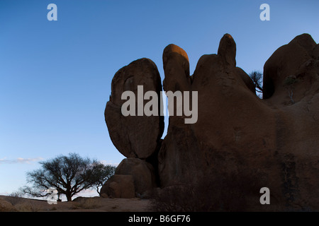 Afrika Namibia Usakos Einstellung Sonne leuchten einsame Akazie inmitten von Granitfelsen und Felsformationen rund um Berg Spitzkoppe Stockfoto