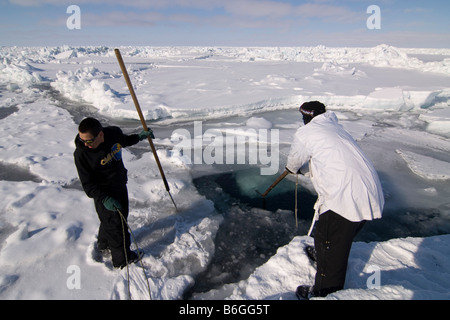 Inupiaq Walfänger öffnen ein Loch in das Packeis für potentielle Tierwelt Tschuktschensee passieren Stockfoto