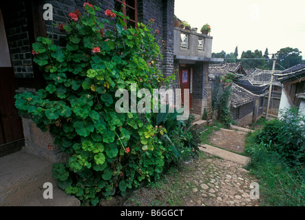 Architektur entlang der Straße in die alte Stadt Lijiang Yunnan Provinz China Asien Stockfoto