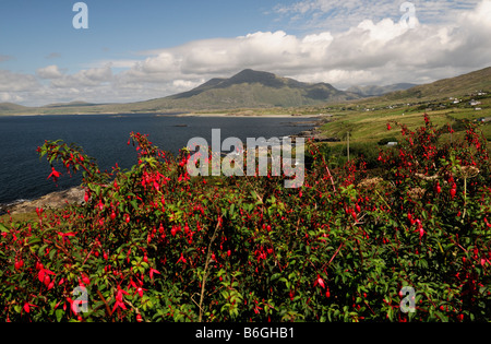 Connemara Mweelrea Berg in der Nähe von Lettergesh County Galway westlich von Irland irische Landschaft Szene Stockfoto