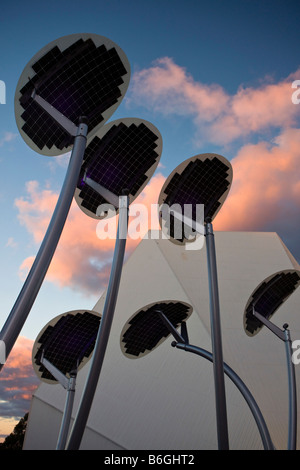 Solar-Panels wie gestaltet Mallee Bäume, Adelaide Festival Centre, Adelaide, South Australia, Australien Stockfoto