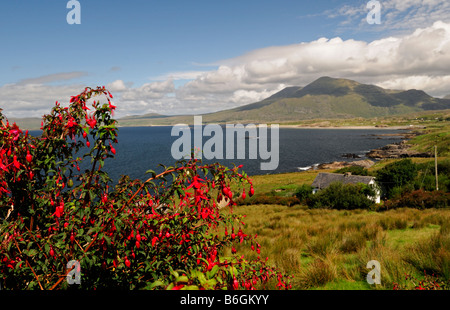 Connemara Mweelrea Berg in der Nähe von Lettergesh County Galway westlich von Irland irische Landschaft Szene Stockfoto