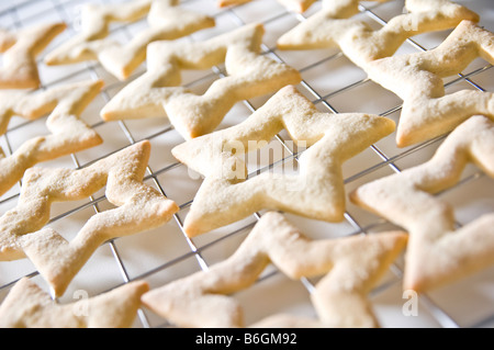 Sternförmige Ingwer Kekse gelegt auf ein Kuchengitter. Sie wurden dann in kleinen Boxen für Weihnachtsgeschenke zu packte. Stockfoto