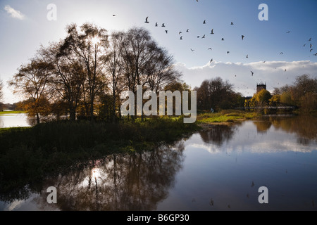 Der Fluss Trent in Flut, Trent Washlands, Burton-Upon-Trent, Staffordshire Stockfoto