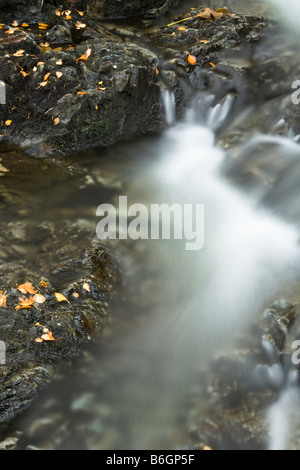 Riggindale Beck fließt über Felsblöcke im Herbst Haweswater Seenplatte Cumbria Uk Stockfoto