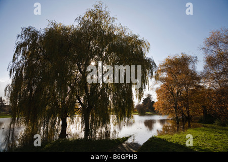 Der Fluss Trent in Flut, Trent Washlands, Burton-Upon-Trent, Staffordshire, UK Stockfoto