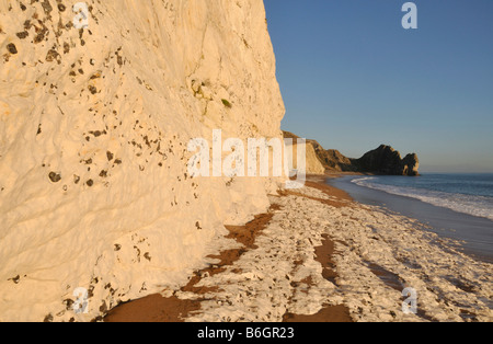 Chalk Felsbrocken der Bat-Leiter in der Nähe von Durdle Door Dorset Stockfoto