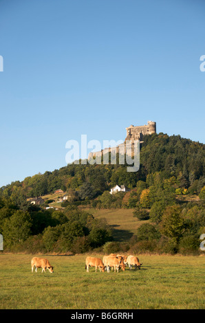 Burg von Murol. Puy de Dome. Frankreich Stockfoto