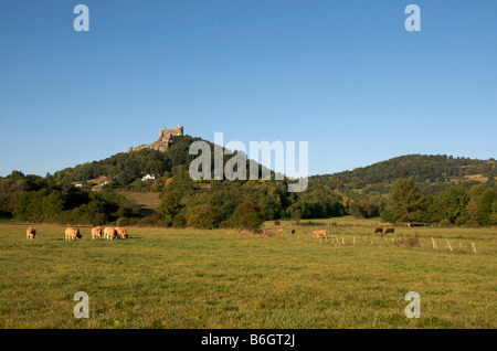 Burg von Murol. Puy de Dome. Frankreich Stockfoto