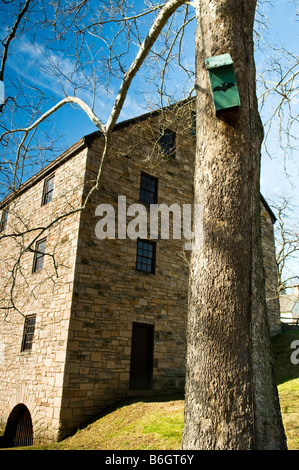 Ein Fledermauskasten in einem Baum in der Nähe Washingtons Grist Mill. Eine historische Stätte zwei Meilen entfernt von Mount Vernon in Virginia Alexandria Stockfoto