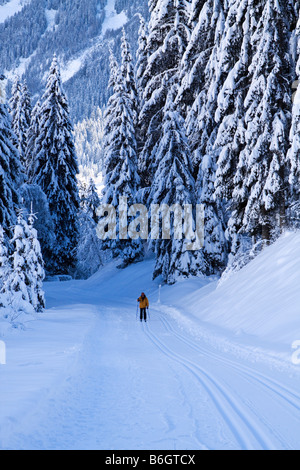 Langlaufen Sie im Dorf Les Diablerets, Schweiz Stockfoto