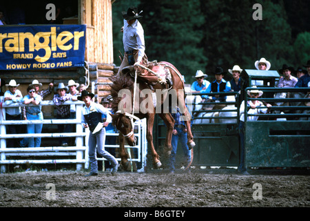 Cawston, BC, Britisch-Kolumbien, Kanada - Chopaka Rodeo, Similkameen Tal Sattel Bronc Reiten, Cowboy-Reiter auf Wildpferd Stockfoto