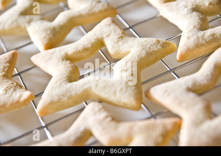 Sternförmige Ingwer Kekse gelegt auf ein Kuchengitter. Sie wurden dann in kleinen Boxen für Weihnachtsgeschenke zu packte. Stockfoto