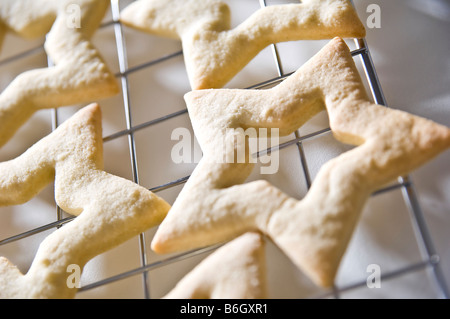 Sternförmige Ingwer Kekse gelegt auf ein Kuchengitter. Sie wurden dann in kleinen Boxen für Weihnachtsgeschenke zu packte. Stockfoto