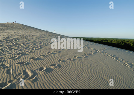 Arcachon Frankreich Sanddünen von Pyla Stockfoto