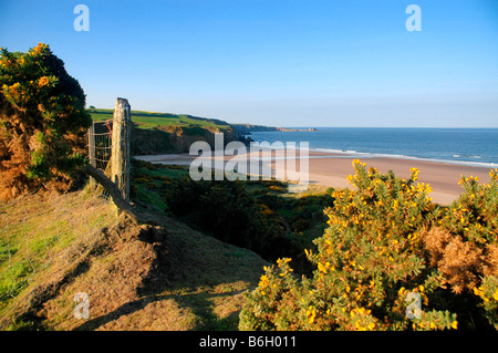 Lunan Bay, Angus, Schottland. Stockfoto