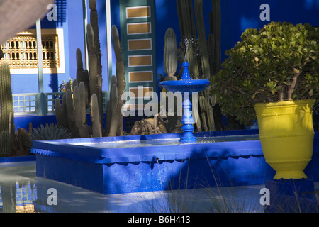 Marrakesch Marokko Nordafrika Dezember A blau gefärbt Brunnen im Bereich Sukkulenten Majorelle Gärten Stockfoto