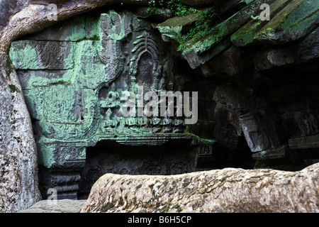 Ruinen von Ta Prohm Tempel mit einigen Baumwurzeln, Angkor Wat, Kambodscha Stockfoto