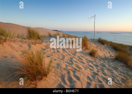 Arcachon Frankreich Sanddünen von Pyla Stockfoto