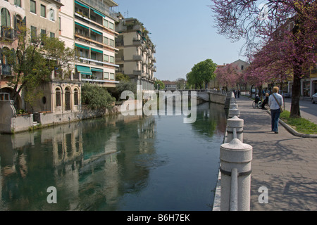 Treviso Cherry Blossom Riviera Santa Margherita Fluss Sile Veneto Italien April 2008 Stockfoto