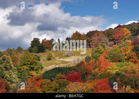 Herbstlaub umgibt eine Lichtung am kahlen Knopf in Canaan Valley State Park West Virginia Stockfoto