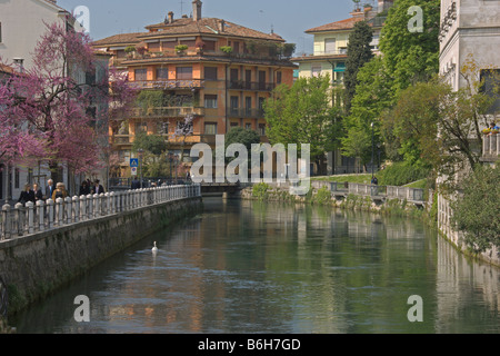 Treviso Cherry Blossom Riviera Santa Margherita Fluss Sile Veneto Italien April 2008 Stockfoto