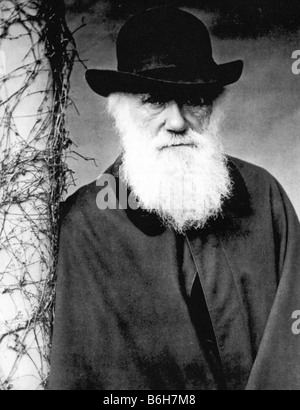 CHARLES DARWIN im Alter von 72, fotografiert von Julia Margaret Cameron im Jahre 1881 Stockfoto