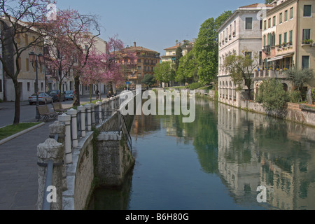 Treviso Cherry Blossom Riviera Santa Margherita Fluss Sile Veneto Italien April 2008 Stockfoto