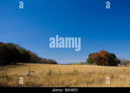 Amber Waves von Gras- und blauen Himmel an einem Herbsttag im Texas Hill Country Stockfoto