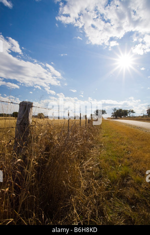 Amber Waves von Gras- und blauen Himmel an einem Herbsttag im Texas Hill Country Stockfoto