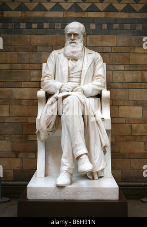 Skulptur von Charles Darwin im Natural History Museum, London Stockfoto