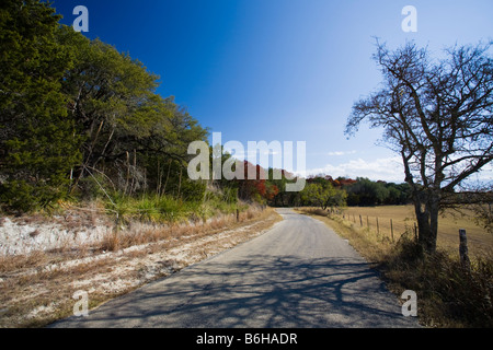 Amber Waves von Gras- und blauen Himmel an einem Herbsttag im Texas Hill Country Stockfoto