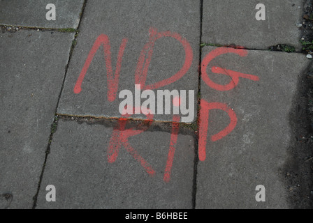 Jugend Gruppe Graffiti in Liverpool England UK. Nogga Dogz sind eine Gruppe von jungen Männern aus dem Norris Green-Bereich der Stadt. Stockfoto